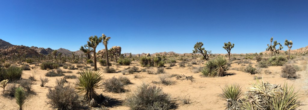 03. Perspective: Where we stand